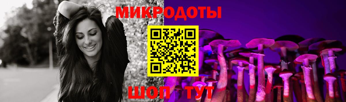 Красный Сулин  Галлюциногенные грибы Psilocybine cubensis  Вход с VPN 